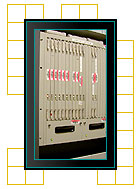 AccessSwitch Plug-in Modules